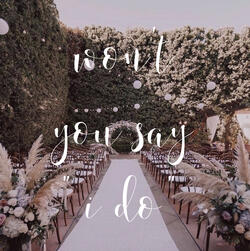 won't you say i do