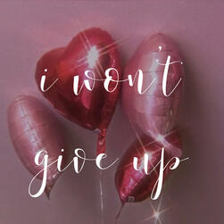 i won't give up