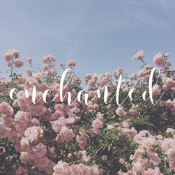 enchanted